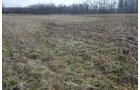 Property photo 88 - 98+/- Acres Offered in 6 Tracts or Combinations, Noble County, Indiana Farm